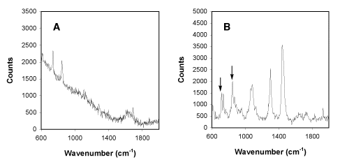 Raman spectra obtained for single DMPC liposomes incubated in the presence of HFIP