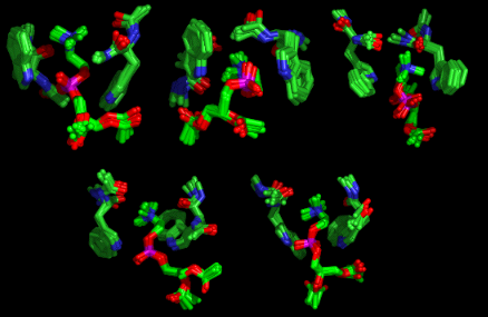 Images of Tryptophan-DAPC adducts