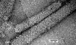 A line drawing of a peptide linked to a synthetic polymer