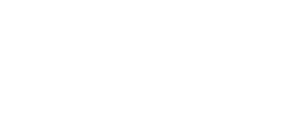 the conversion of chorismate into prephanate