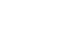 reaction mechanism